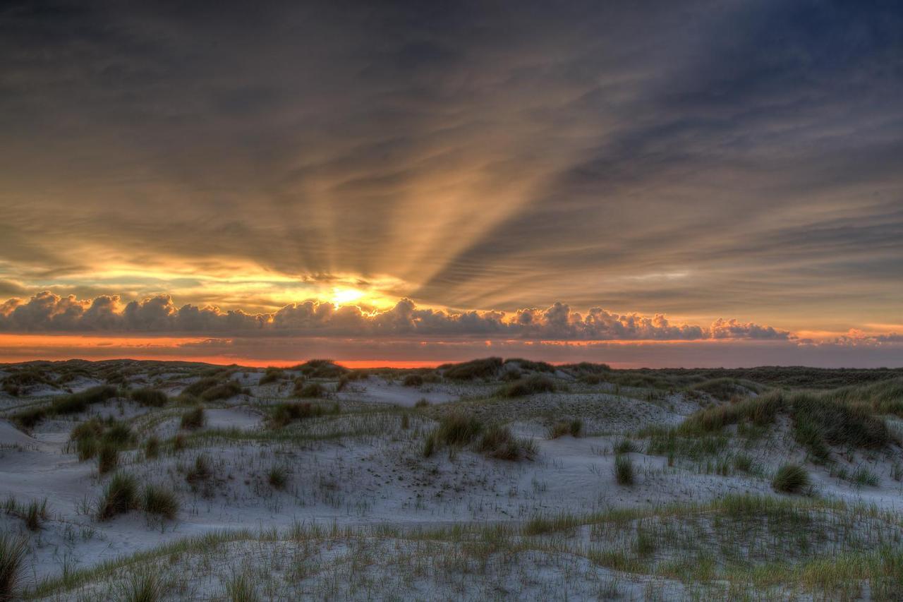 Vila Zeelucht Texel De Koog  Exteriér fotografie