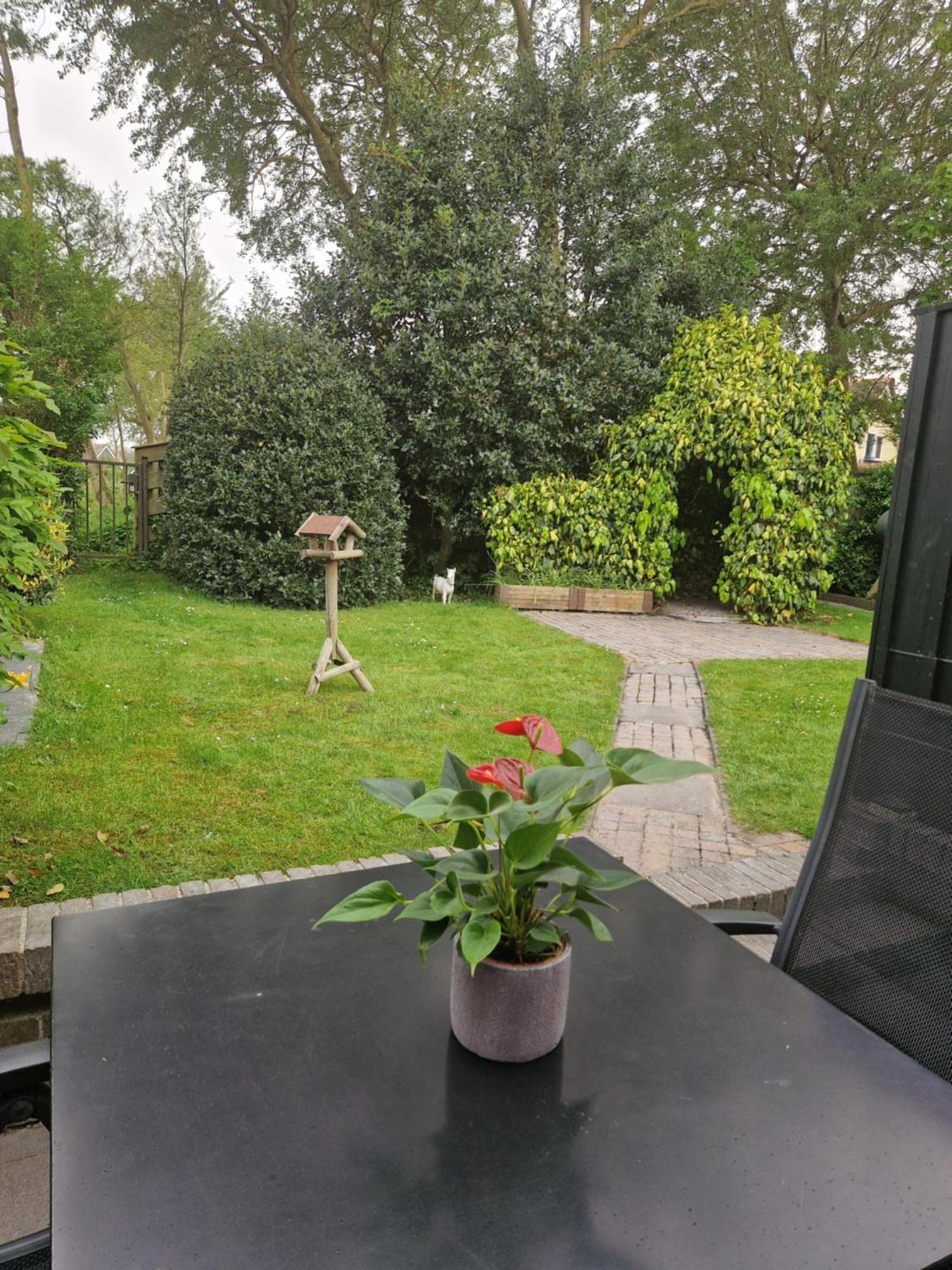 Vila Zeelucht Texel De Koog  Exteriér fotografie