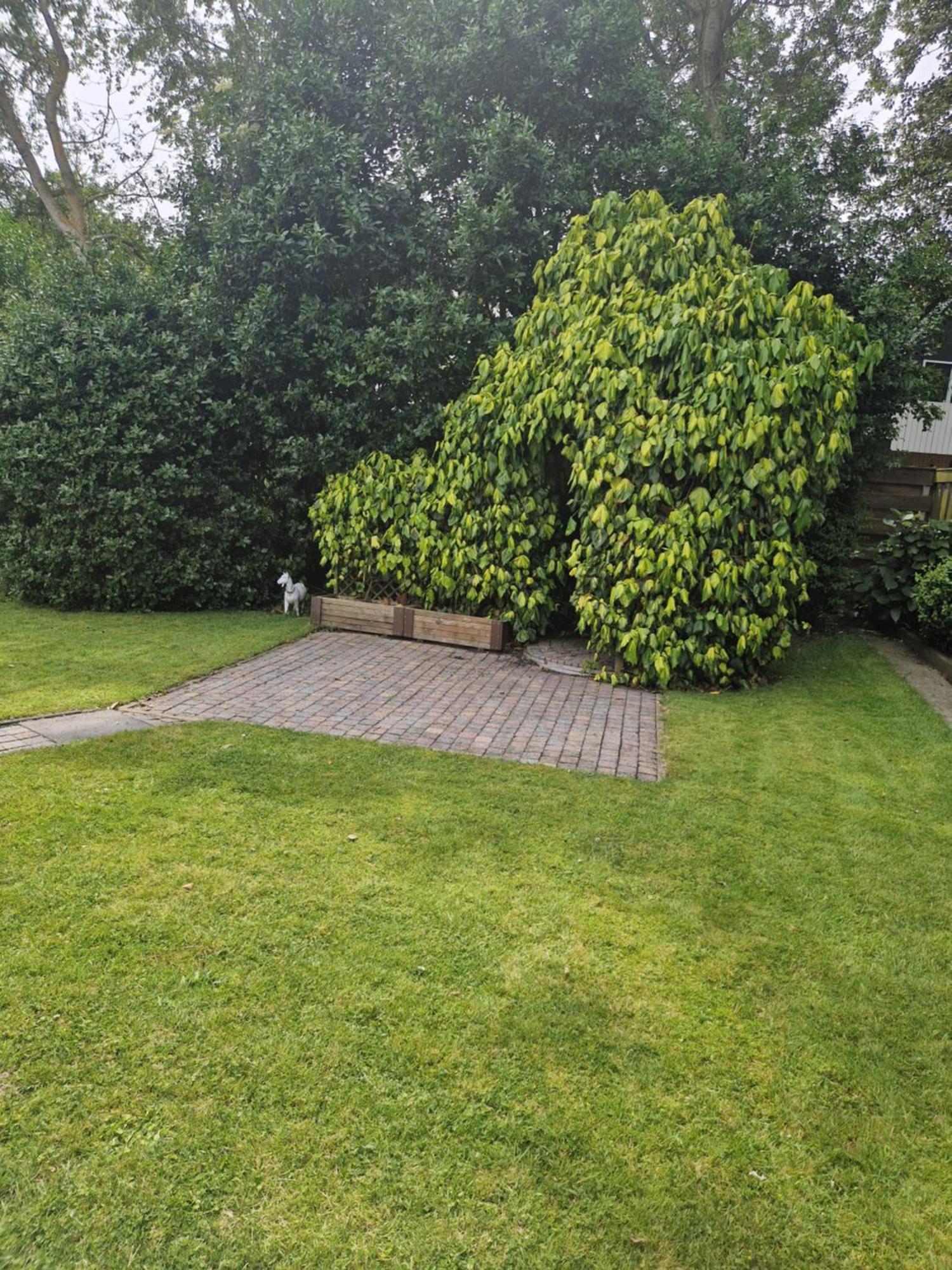 Vila Zeelucht Texel De Koog  Exteriér fotografie
